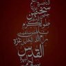 ayman barakat 的头像