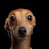 Profilbild von senay