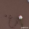عبـير العبـدالله's profile picture