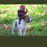 Wealthsback's profile picture