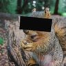Redacted_Squirrel's profile picture