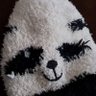 Profilbild von Rotofa