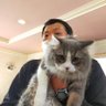 Profilbild von 岩谷浩和