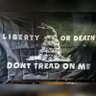 Daniel Kinney's profile picture