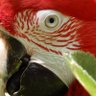 Neophyte profil fotoğrafı