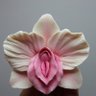 Silks's profile picture