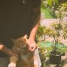 vlonefik's profile picture
