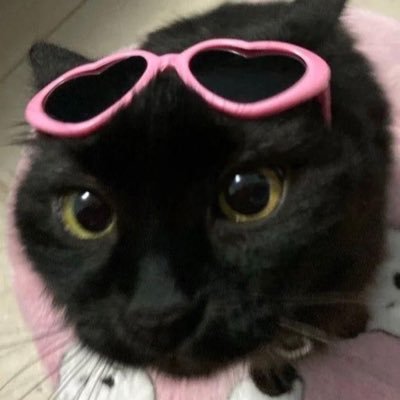 avialt_'s profile picture