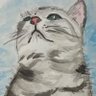 桜ねこ's profile picture