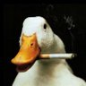 Profilbild von Ducka