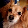 ミナルナ's profile picture