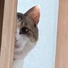 ゆみっくす.'s profile picture