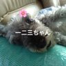 星座はLibra(リブラ) profil fotoğrafı