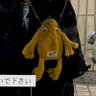 納豆's profile picture