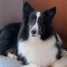 Profilbild von CynthiaK23