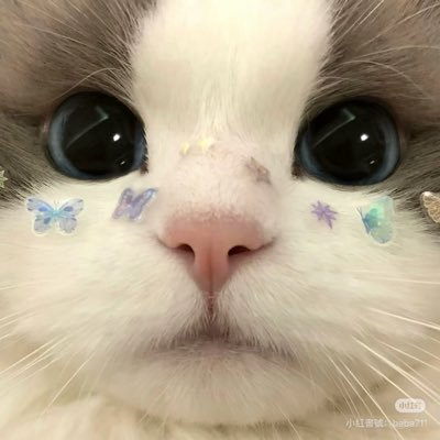 yrsl111's profile picture