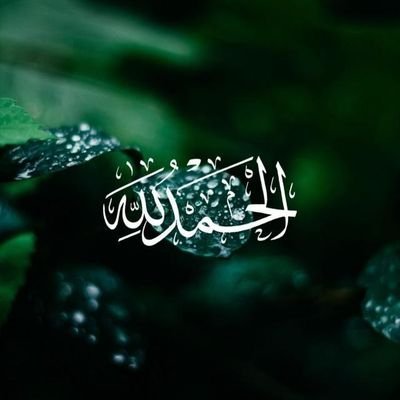 E_y199's profile picture