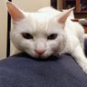 Tama's profile picture