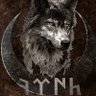 Türk 🇹🇷🐺's profile picture