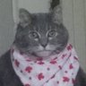 Profilbild von Maldan