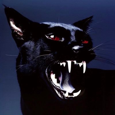 ໊'s profile picture