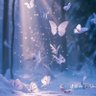 미 profil fotoğrafı