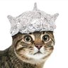 tin foil cooker's profile picture