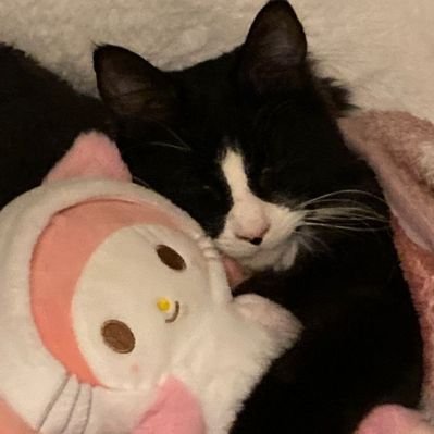 kayyjayyval's profile picture