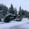 Фото профиля DD