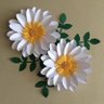 عبد الباسط عمری آقا's profile picture