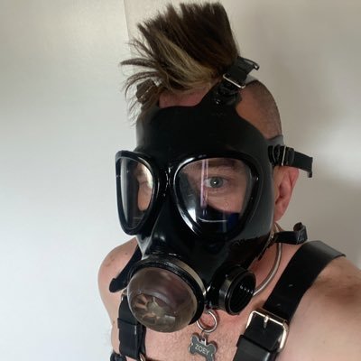 AZPupZoey's profile picture