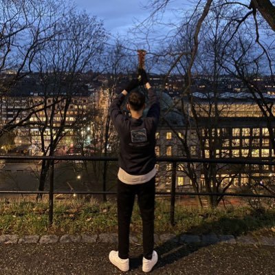 RoslenVLR's profile picture