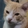 babibubebo's profile picture