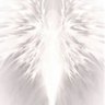 zenohvx's profile picture