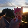 Profilbild von カミホリ
