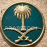 عبدالعزيز بن حسن 的头像