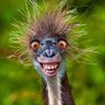 Kristina Goar's profile picture