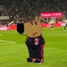 borgas🏆's profile picture