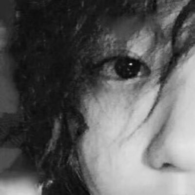 eternaledwin's profile picture