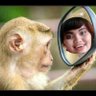 Фото профиля Bodat Betina jokodok 🤣🤣🤣