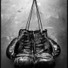 Фото профиля T-Boxer