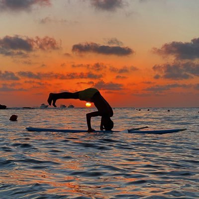 MoussSaad's profile picture