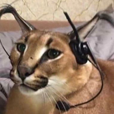smhlovely's profile picture