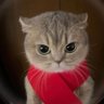 Delfi's profile picture