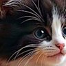 Profilbild von Mus Sda