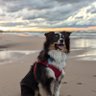 Profilbild von Sydney