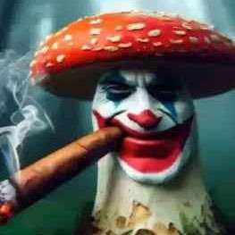 Snales's profile picture