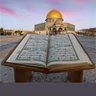 Фото профиля Amira Abd Elfatah