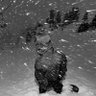 vojteen profil fotoğrafı