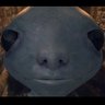 LeonRiot profil fotoğrafı